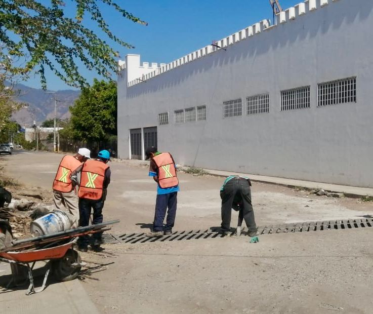 Imagen-de-WhatsApp-2025-05-20-a-las-12.40.09_34ca3e68 ANTES DE QUE LLEGUEN LAS LLUVIAS.