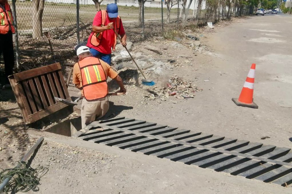 Imagen-de-WhatsApp-2025-05-20-a-las-12.40.09_837752ca ANTES DE QUE LLEGUEN LAS LLUVIAS.