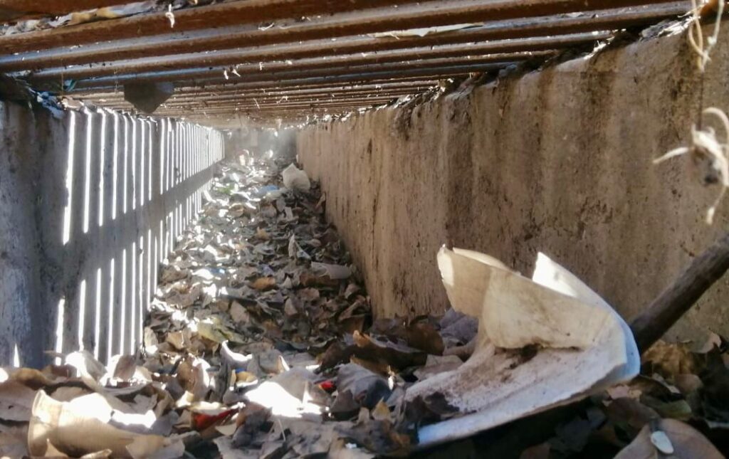 Imagen-de-WhatsApp-2025-05-20-a-las-12.40.09_e9ddefad-1024x645 ANTES DE QUE LLEGUEN LAS LLUVIAS.