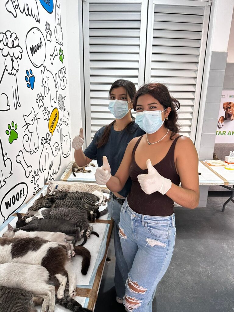 4-768x1024 Bienestar Animal supera las 3 mil 300 esterilizaciones gratuitas