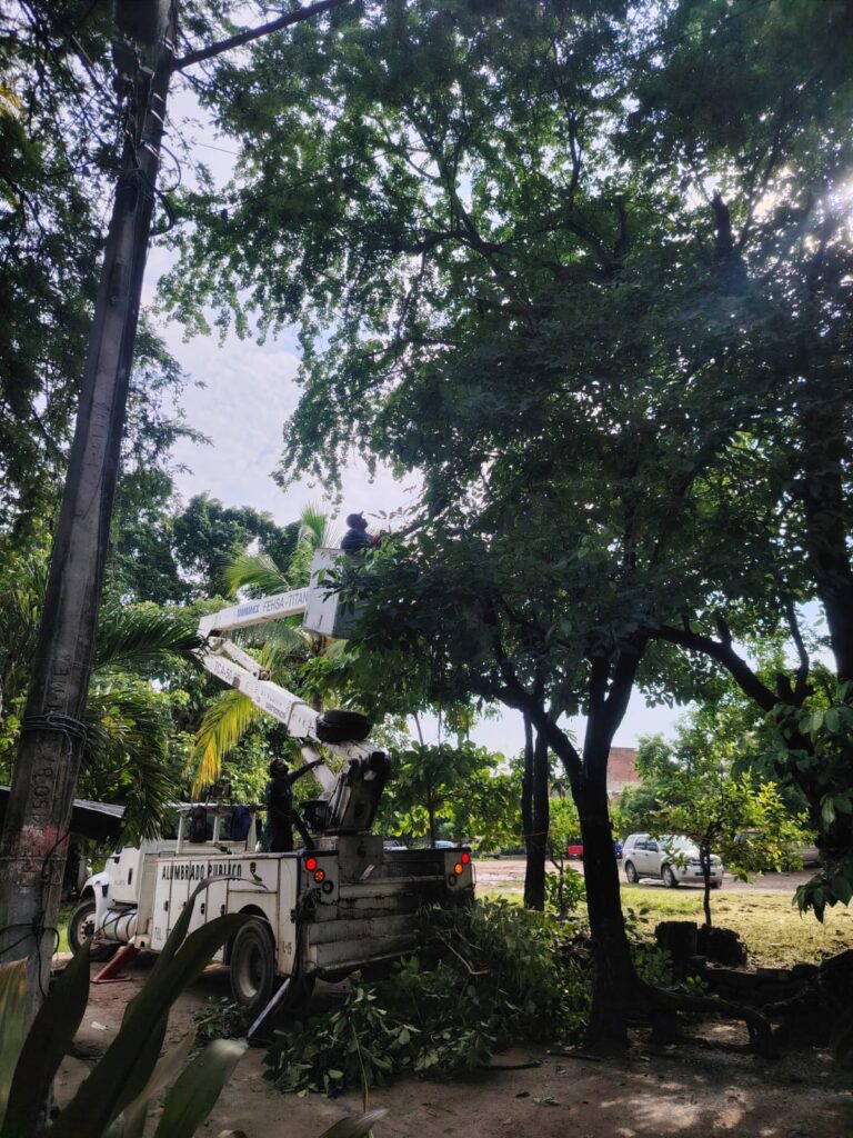 4-8-1-768x1024 Gobierno del bien respalda a Los Tamarindos con limpieza y retiro de árboles