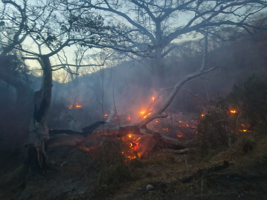 WhatsApp-Image-2026-04-13-at-9.51.18-PM-1-1024x768 Incendio en La Cruz de Huanacaxtle se encuentra Controlado: Lucero Rodríguez