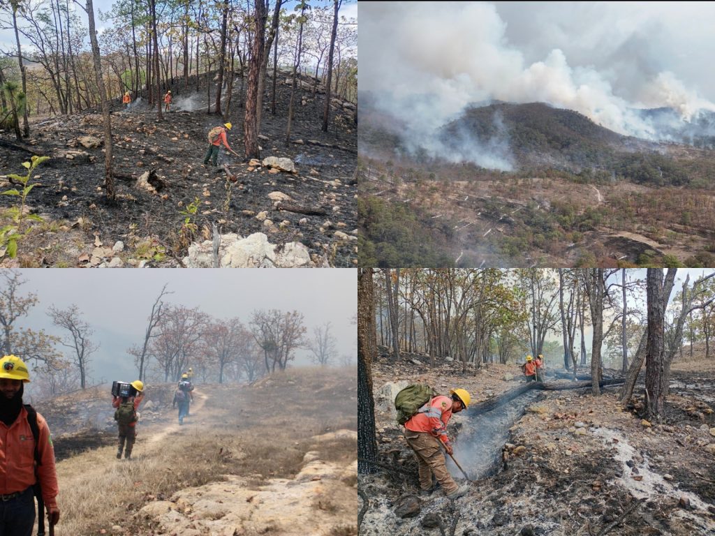 LKP-1024x768 Controlan incendio forestal interestatal en “Loma de los Lobos”, en Ixtlán del Río
