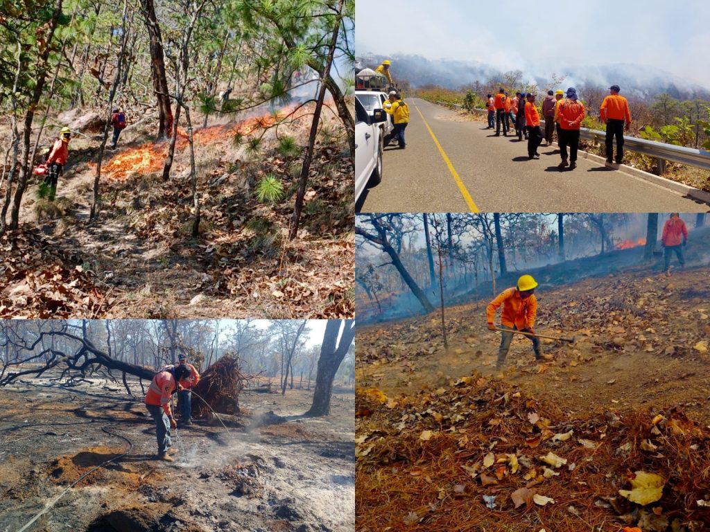 SSW-1024x768 Gobierno de Nayarit refuerza combate al incendio forestal en La Yesca
