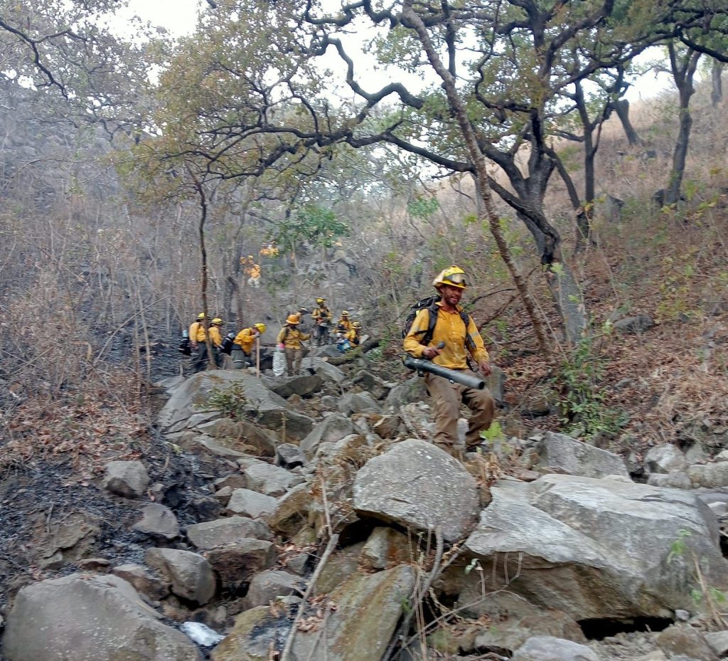WhatsApp-Image-2026-05-22-at-7.01.04-AM-1024x929 Gobierno del Estado logra 100 por ciento de control y liquidación del incendio forestal en el cerro de San Juan