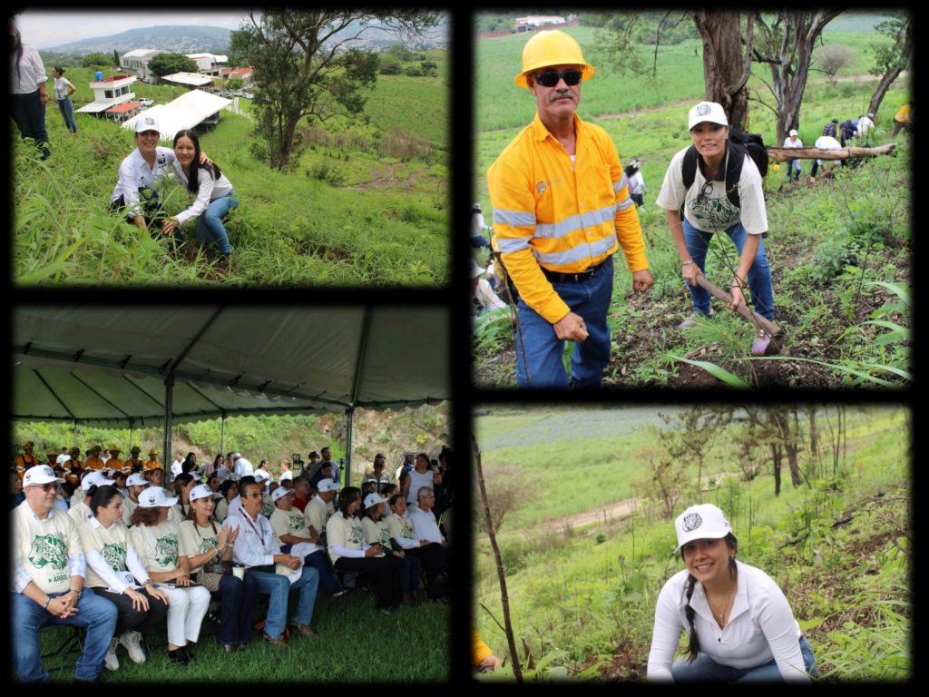 JBV-1024x768 Inicia Siembra De 16 Mil Árboles En El Cerro San Juan