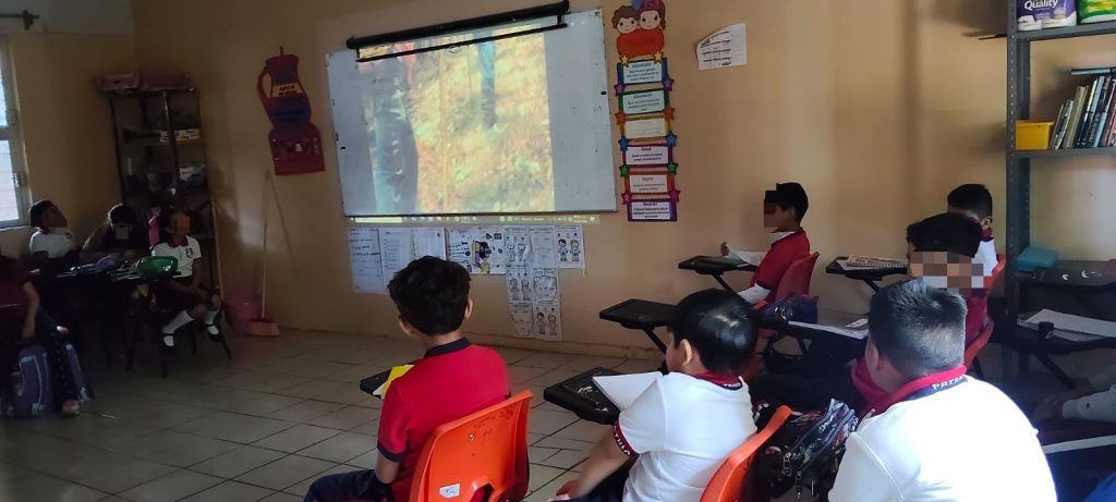 cofonay-1024x461 COFONAY fortalece la cultura forestal entre niñas y niños